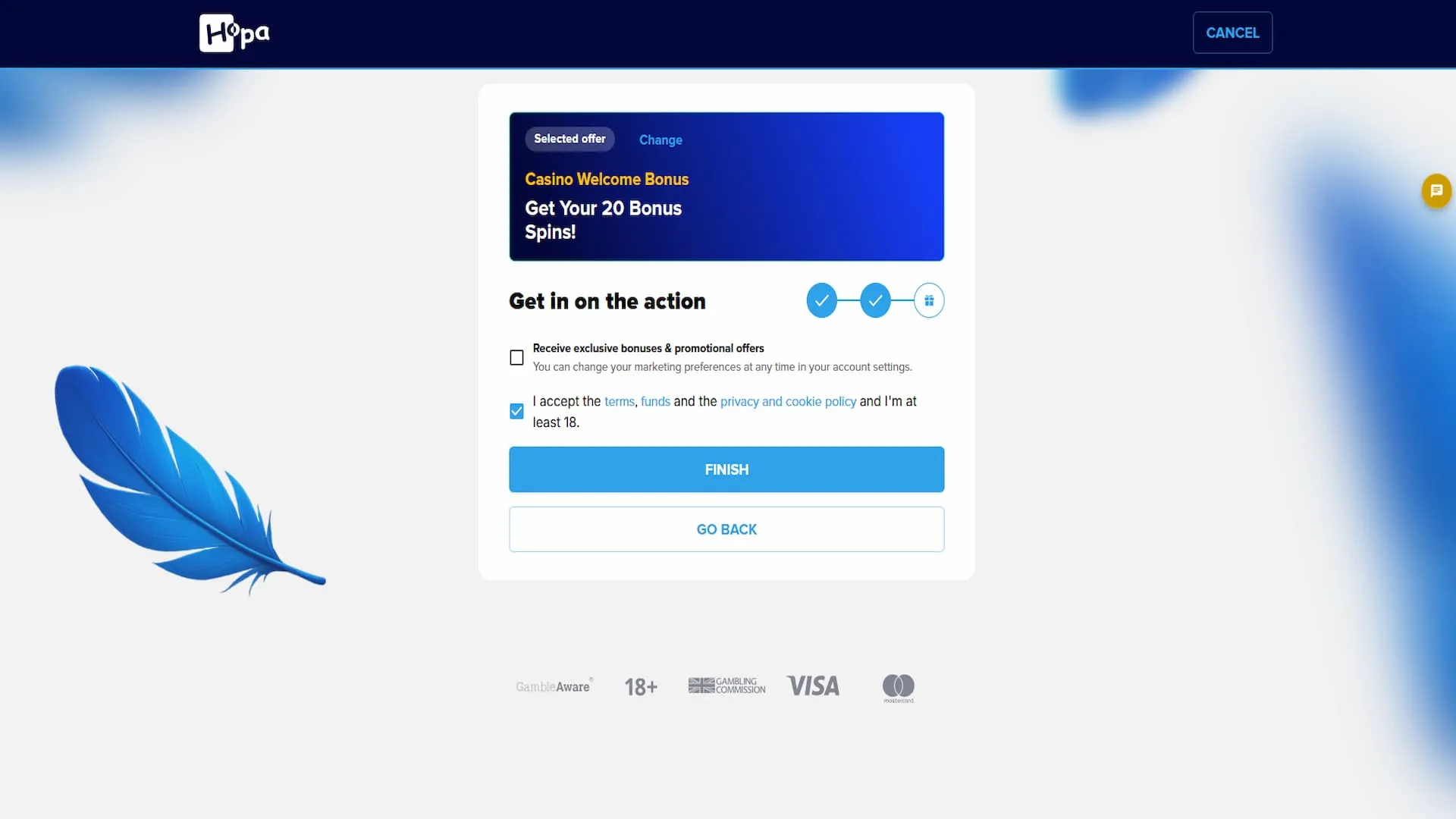 Accept Terms And Conditions At Hopa Casino Background Image