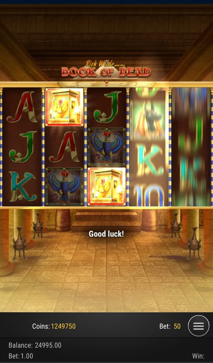 Book Of Dead Slot Mobile 1 Background Image