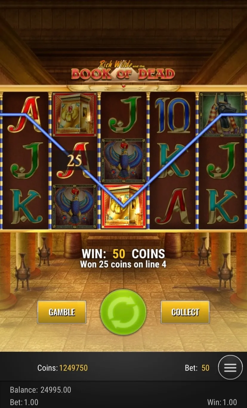 Book Of Dead Slot Mobile 2 Background Image