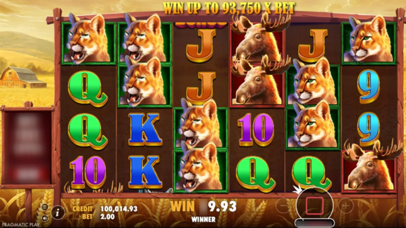 Buffalo King Slot Graphics