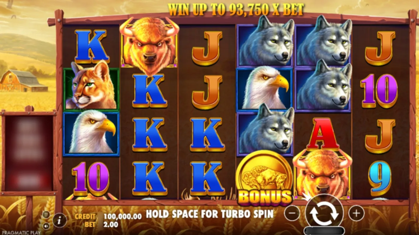 Buffalo King Slot Theme