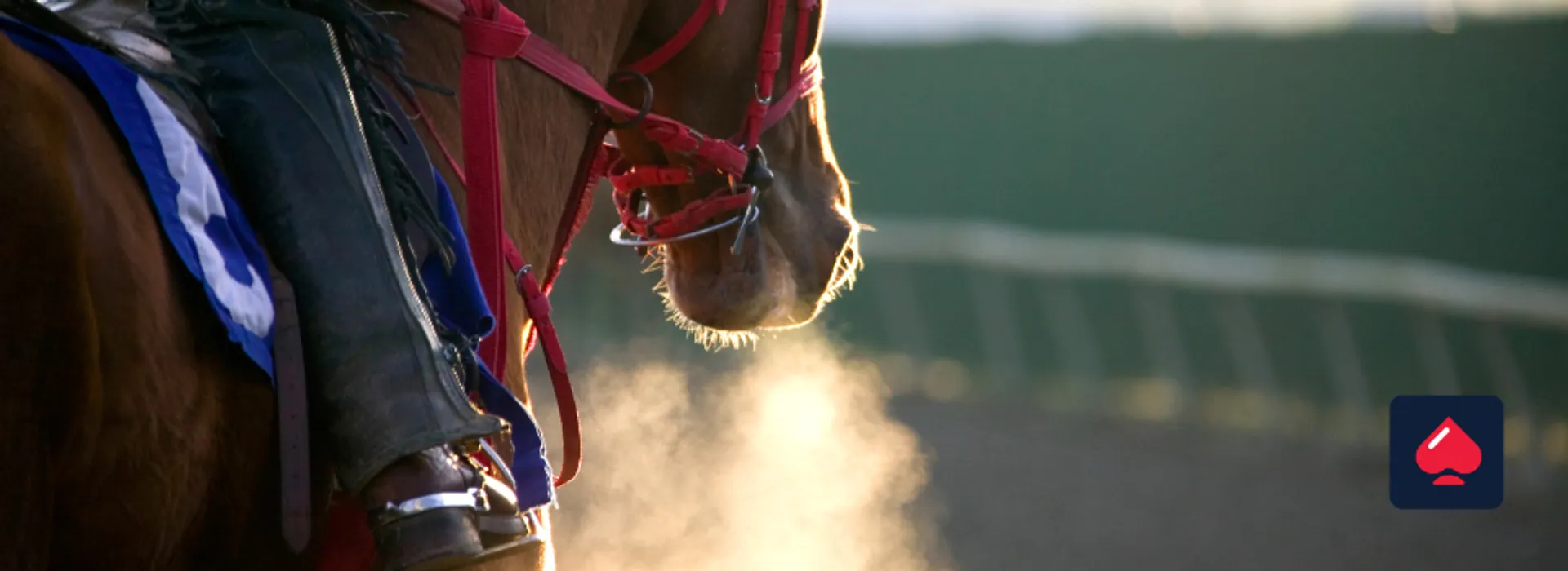 UK horse racing want higher tax on online casinos