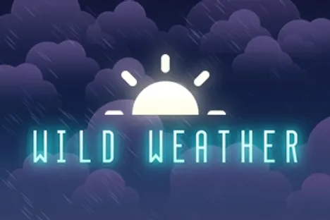 Wild Weather Image